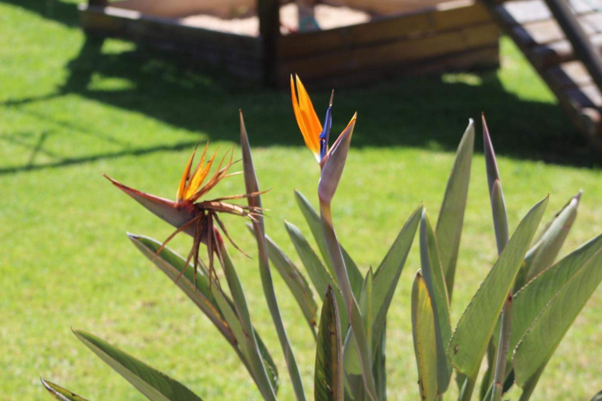 Hartenbos Private Game Lodge Luaran gambar