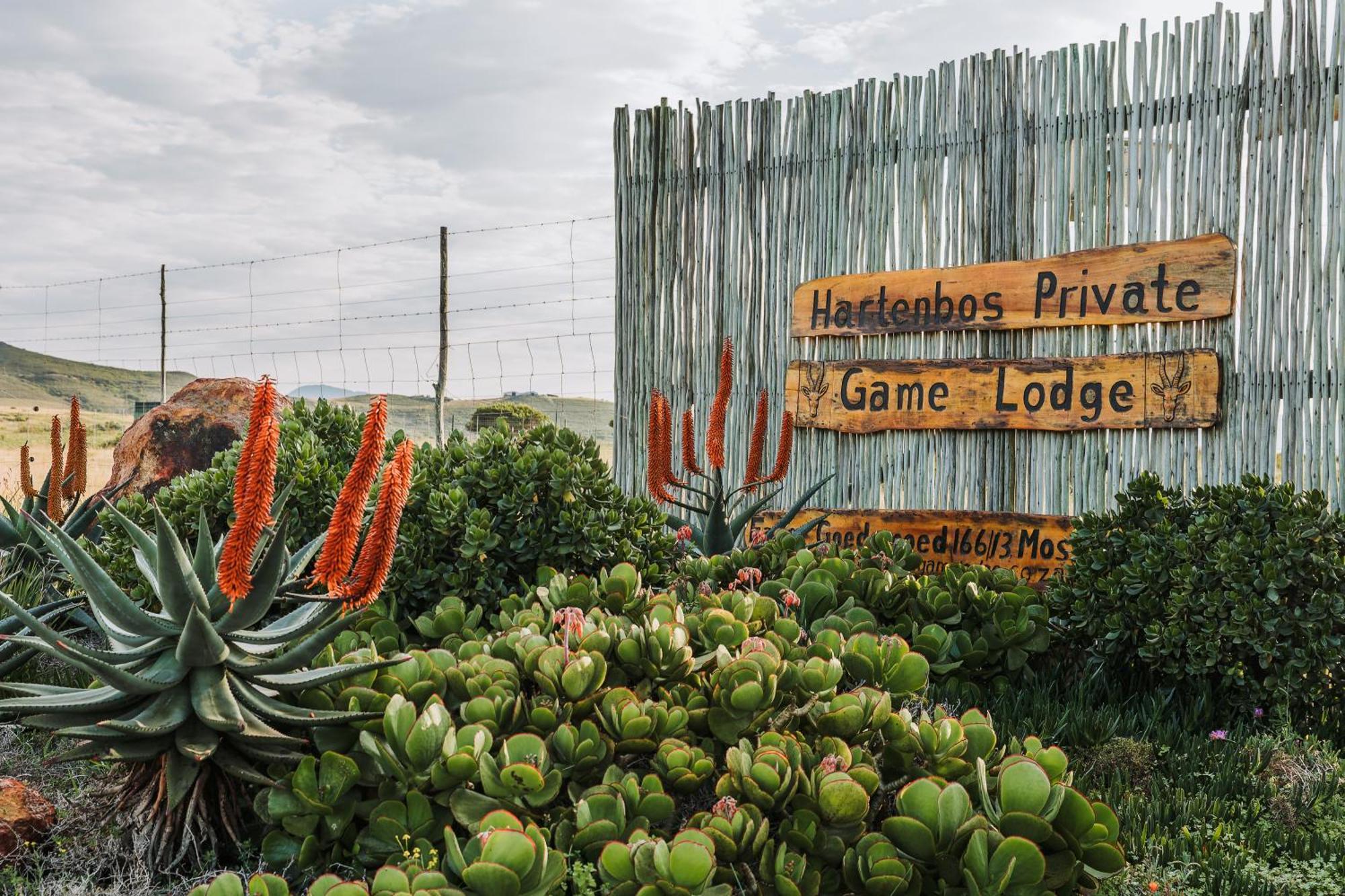 Hartenbos Private Game Lodge Luaran gambar