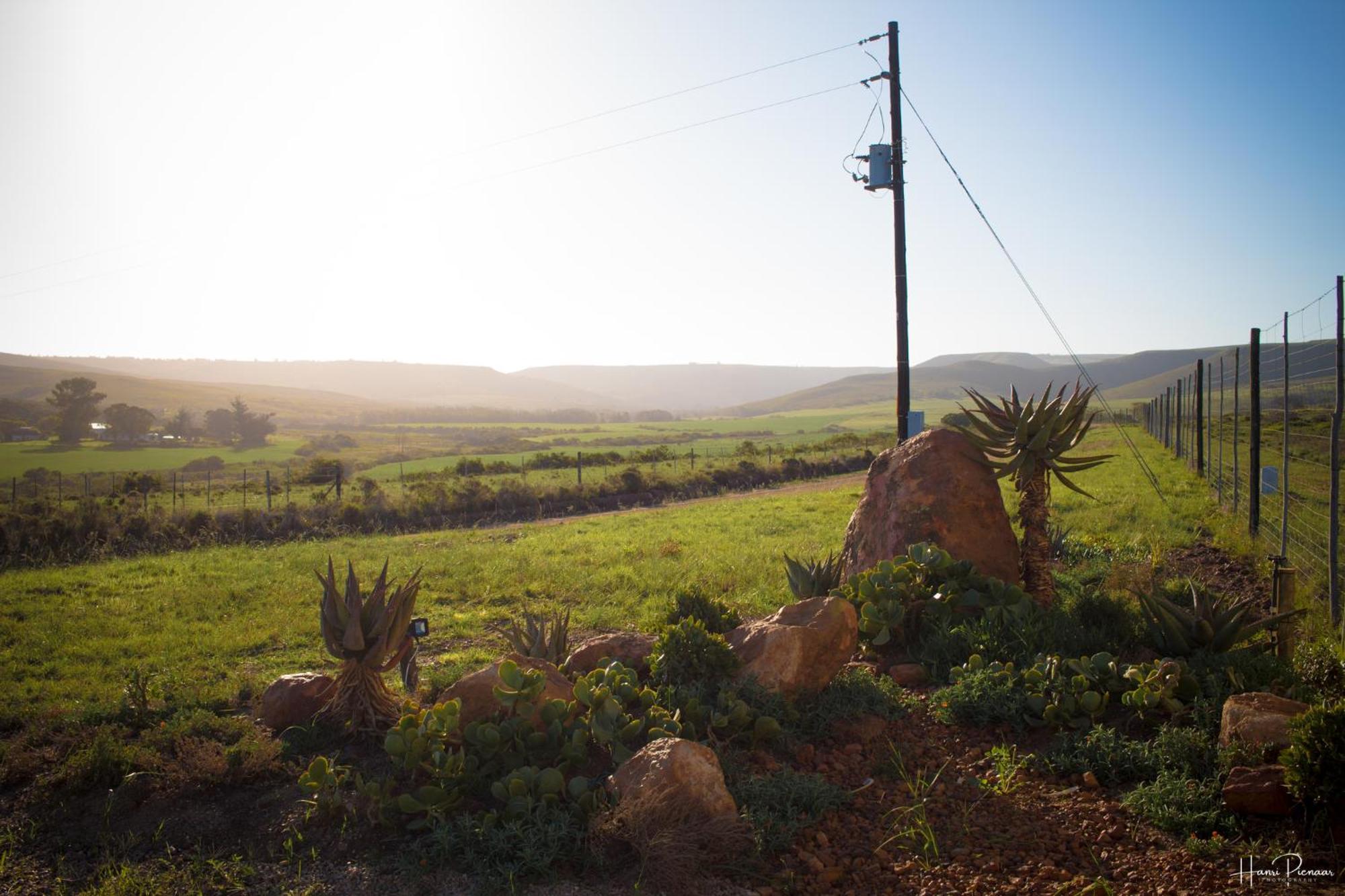 Hartenbos Private Game Lodge Luaran gambar