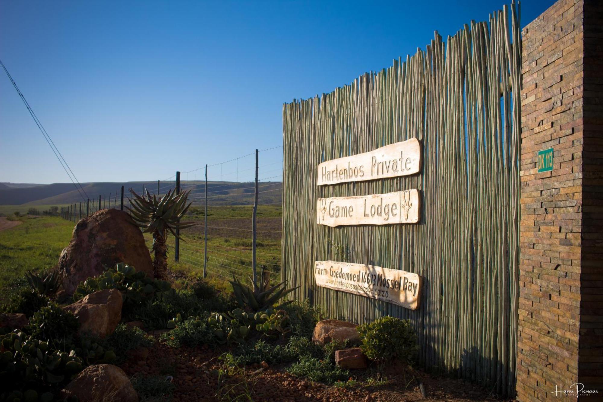 Hartenbos Private Game Lodge Luaran gambar