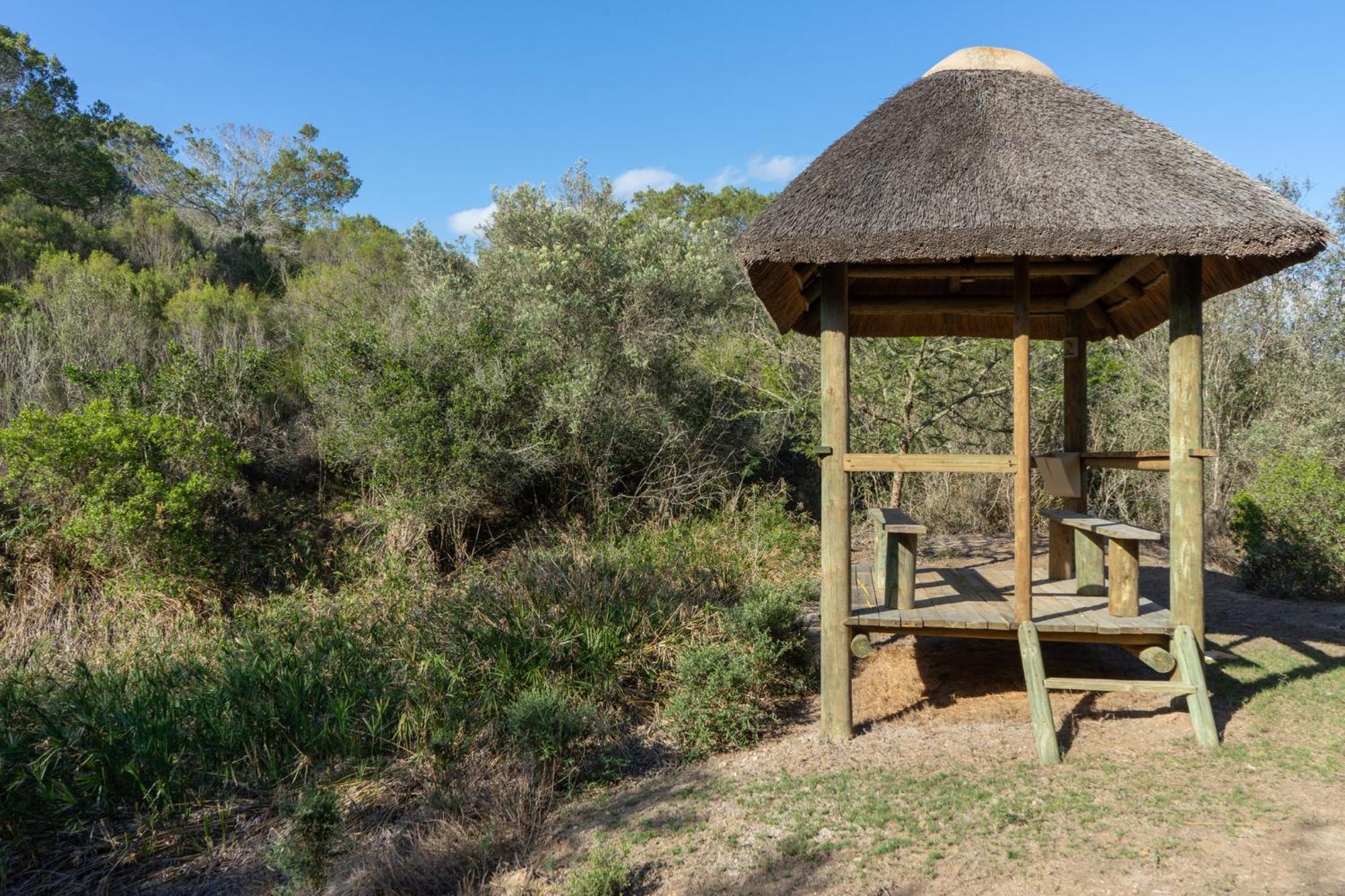 Hartenbos Private Game Lodge Luaran gambar